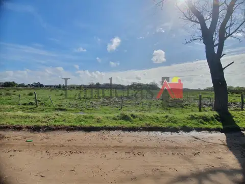 Yrigoyen esquina La Corvina 100