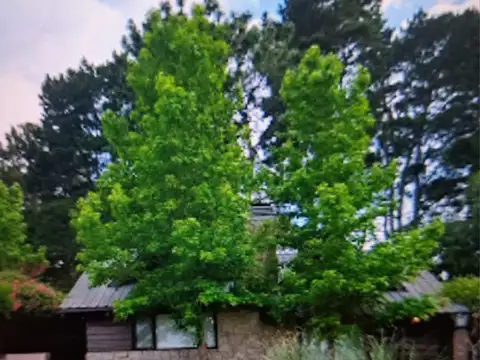 Casa en Venta en Mar del Plata, USD 340.000