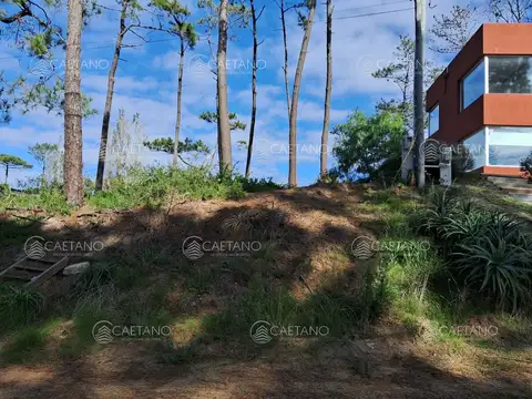 Venta terreno montoya