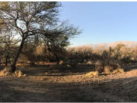 9.000m2 en Yacanto-San Javier