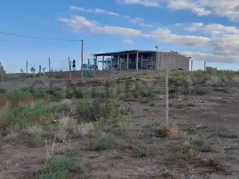 Ruta 16 y medio s/n carrizal , Piso 0