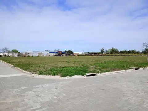 José Ingenieros 4100