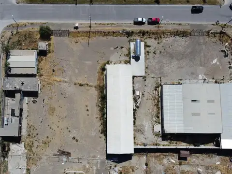 Pedro Ortega y Gatica