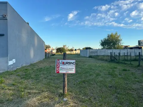 Inmigrantes Arabes 800