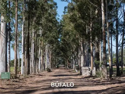 BUFALO COUNTRY CLUB- SANTA ANA 100