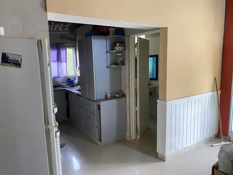 Los abedules al 1900