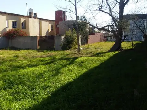 Consultar dirección