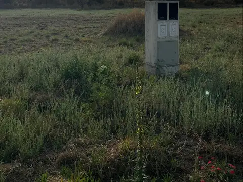 VENTA - LOTES 2000 M2 - COLINAS DE SINSACATE