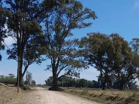 Terreno en Venta 30  mts Fondo