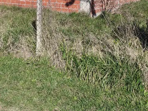 COLECTORA. BARRIO PARQUE SAKURA