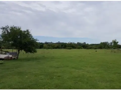Calle Pública a metros de Boulevard Pueyrredón , Piso 0