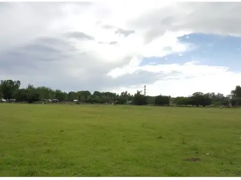 Calle Pública a metros de Boulevard Pueyrredón , Piso 0