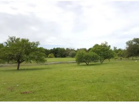 Terreno en Venta 252  mts Fondo