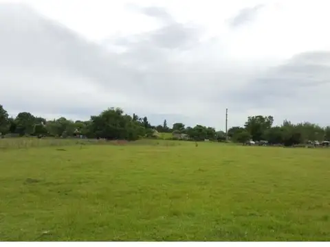 Terreno en Venta de 10000,0 m2