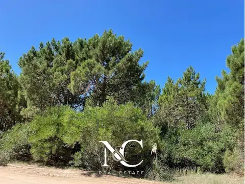 Terreno en Venta 41  mts Frente