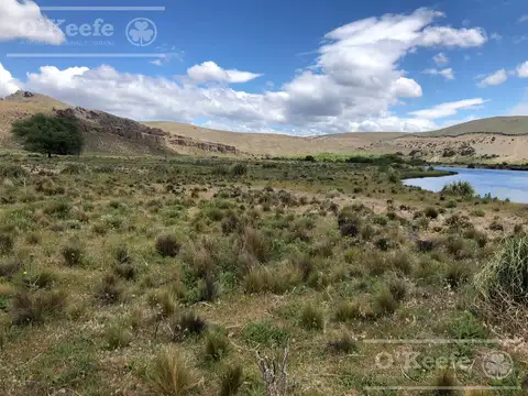 Bariloche  chacra Rio Limay 7,88 Has