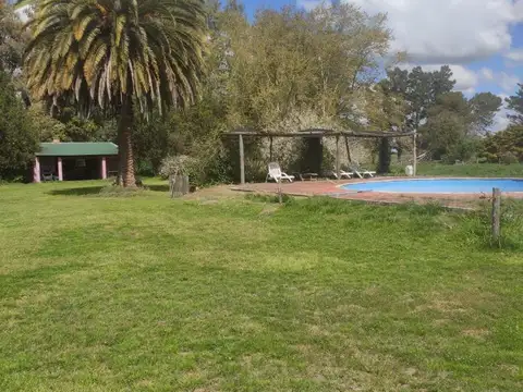 Campo de 90 hectareas en venta, Cañuelas