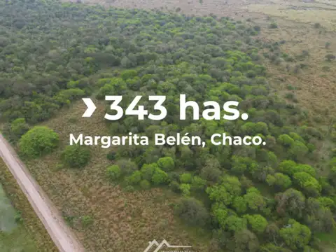 Campo en venta de 343 HAS. ubicado en Margarita Belén
