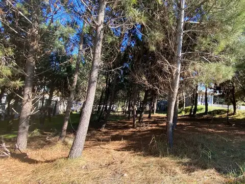Terreno en Venta de 1076,0 m2