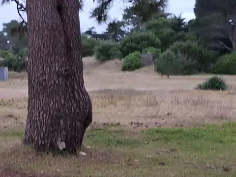 OPORTUNIDAD DE SER PROPIETARIO, ES HOY