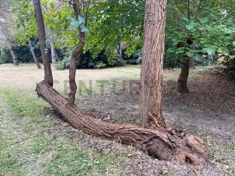 Lote en Venta en Barrio Las Ranas - Paraje La Balandra - Berisso