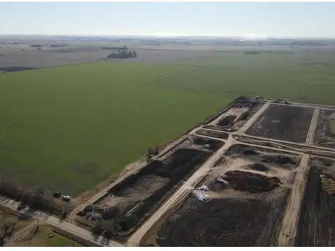 38 has en Ricardone, aptas loteo