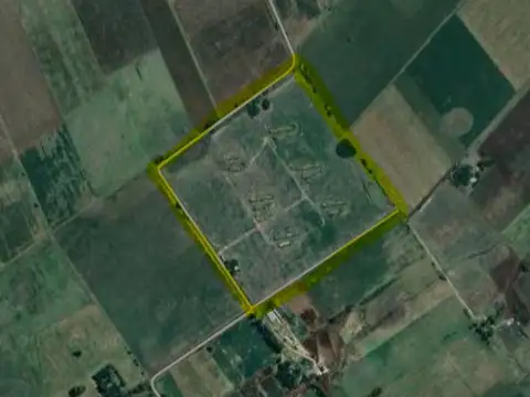 Venta Campo en Navarro  32 Has.  OPORTUNIDAD