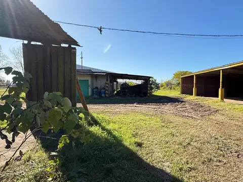 Mariana Arbel al 3300