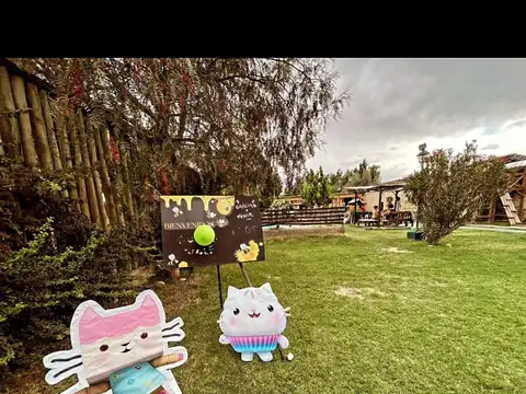 Callejón Martinez 100