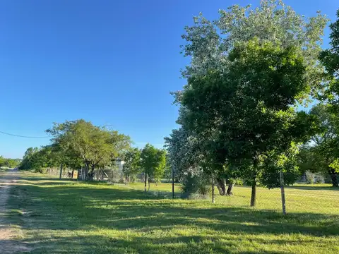 Lote en Venta en Manzanares – 2.800 m² Forestados con Excelente Acceso y Escritura Pública