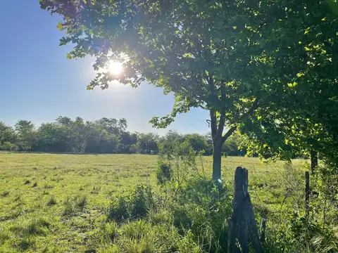 Terreno en Venta en Manzanares, USD 77.000