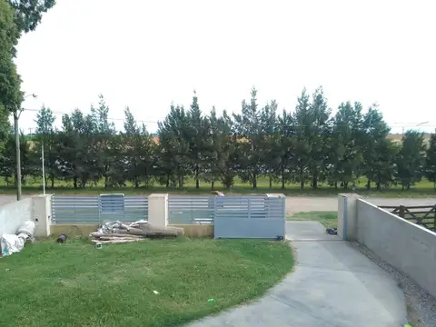 Peninsula Antartica 1200