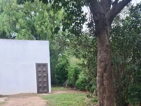 Barrio Francisca Hernandez, 100