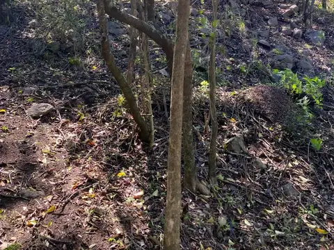 Terreno en Venta de 472,0 m2