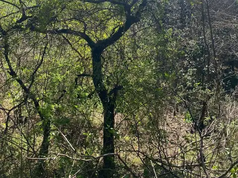 Terreno en Venta en Rio Ceballos, USD 6.631