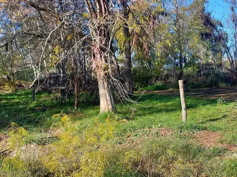 Terreno en Venta 25  mts Frente