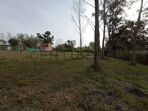 calle 11 1000, Piso 0