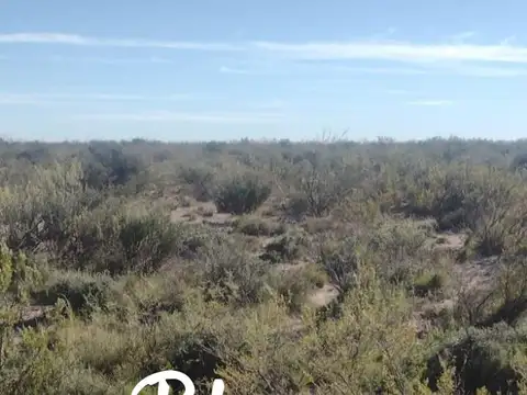 Terreno Campo  en Venta en La Reforma, Limay Mahuida, La Pampa