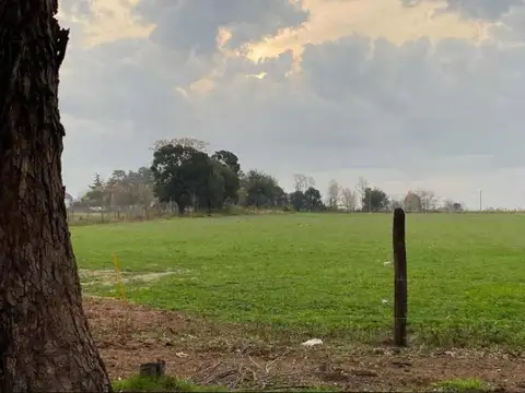 Almafuerte y Ruta 32