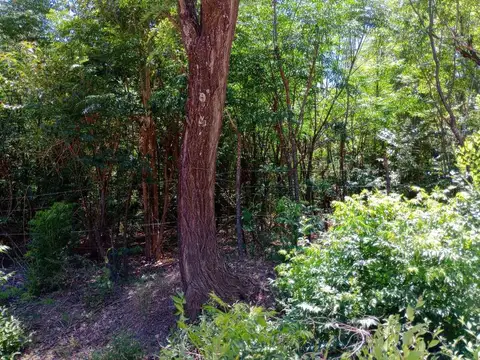 LOTE 954 MTRS2 EN VENTA EN COMUNA DE SAN ROQUE CBA