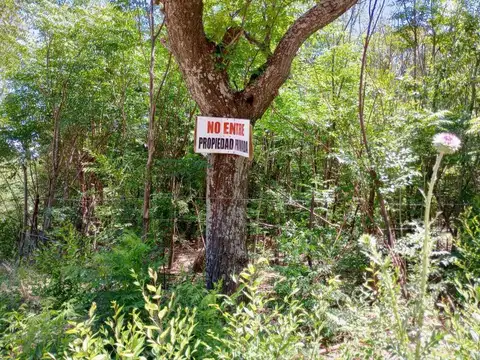 Terreno en Venta de 954,0 m2