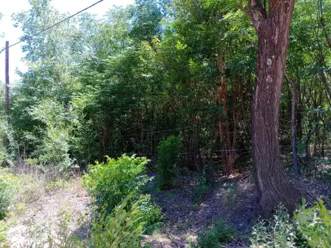 Juan Bautista Bustos & Angel Boedo