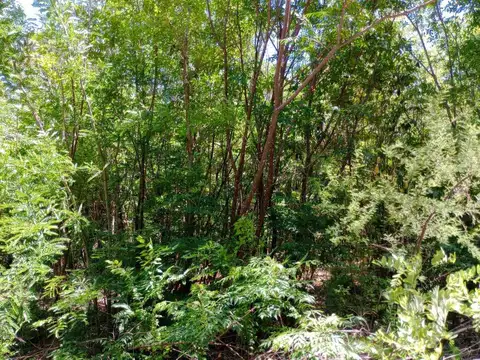 Juan Bautista Bustos & Angel Boedo