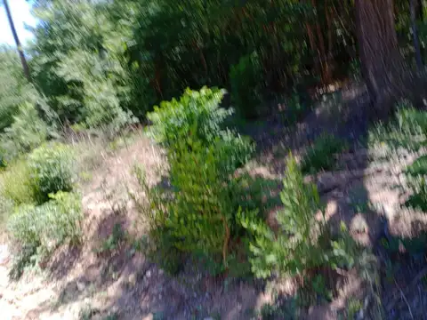 Terreno en Venta en San Roque, USD 15.000