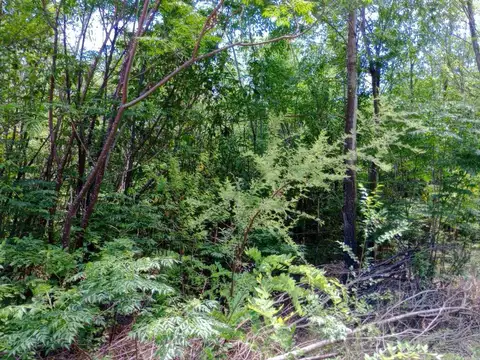 Terreno en Venta en San Roque, USD 15.000