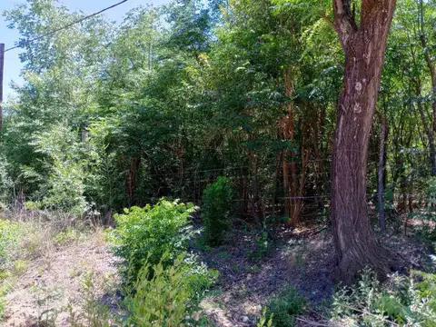 Terreno en Venta de 954,0 m2