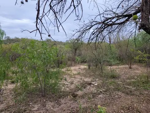 TERRENO EN VILLA DE LAS ROSAS / 7.077 m²