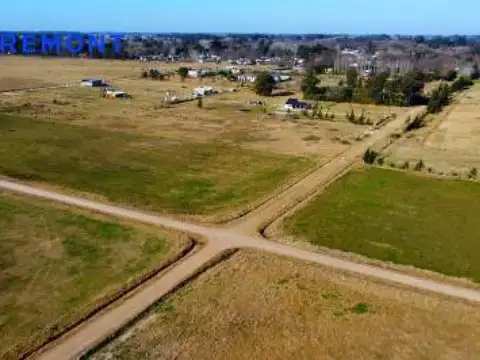 Paula Albarracin y Julio Verne
