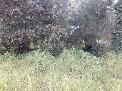 Terreno en Venta 41  mts Fondo