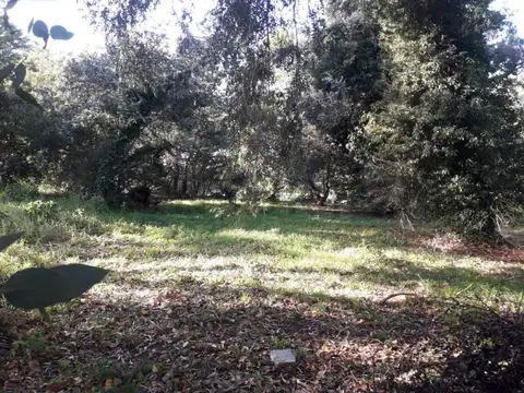 Gertrudis 200, Piso 0